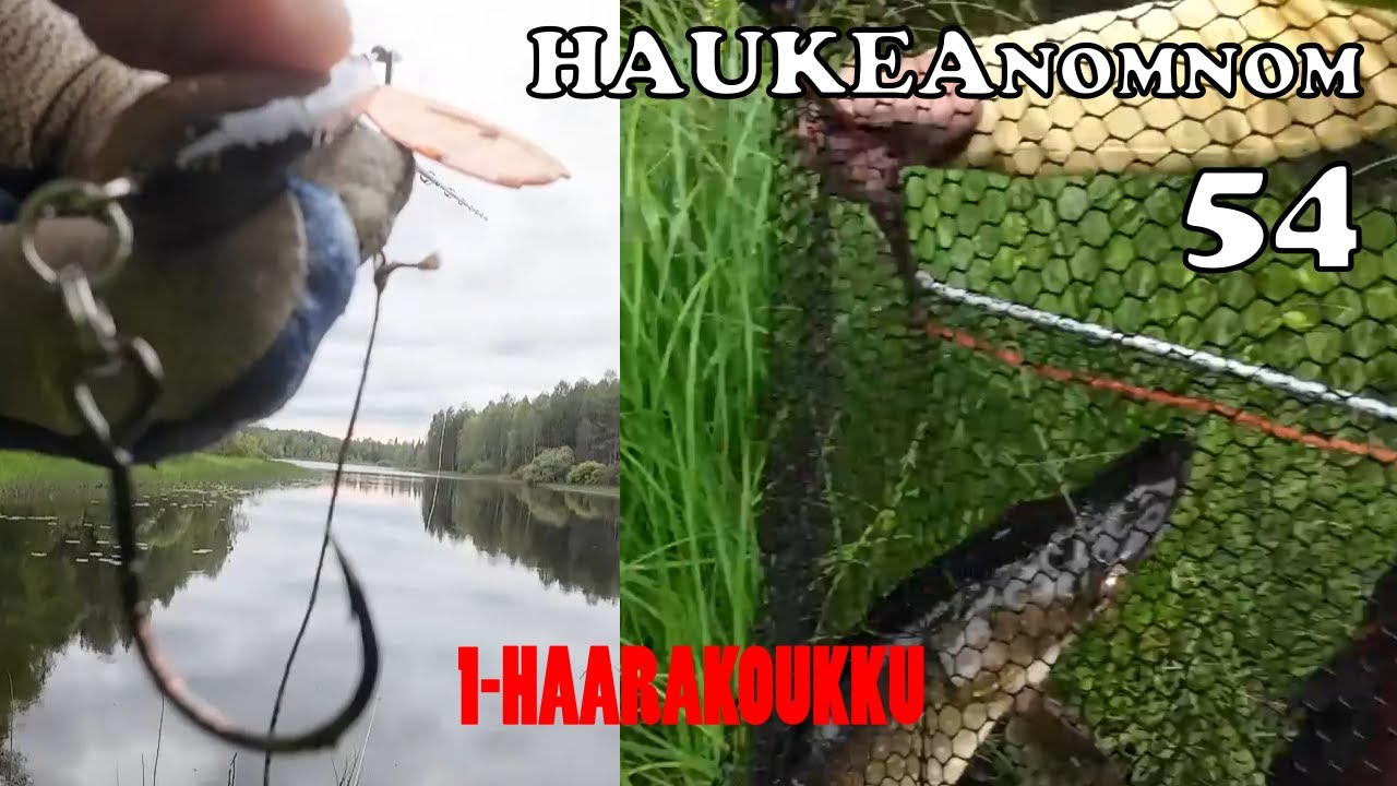 54: VAIHDOIN BETE-LOTTOIHIN 1-HAARAKOUKUT | TUPLAKROKO | HEITTOKALASTUS