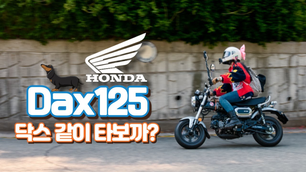 [혼다 닥스125 시승기] 너무 귀엽잖아!!🐶｜슈퍼커브보다 더 재밌다?! HONDA DAX ST125｜부산 라이딩