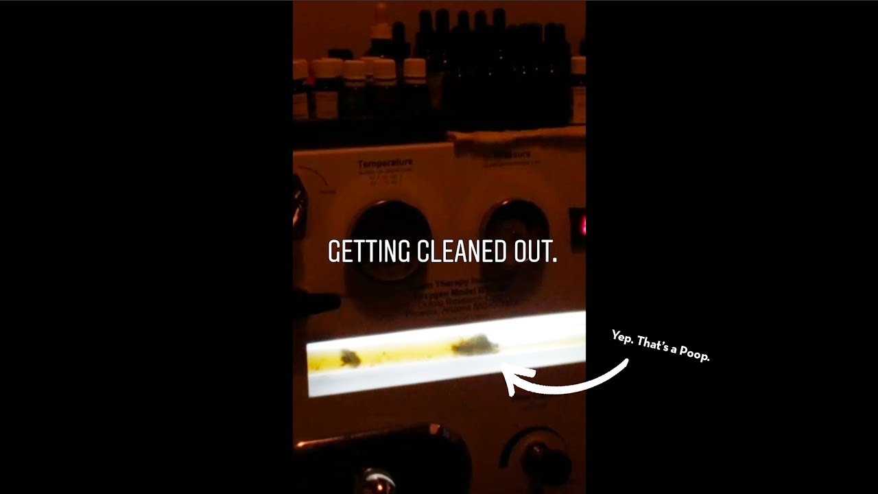 #ANALyzeThis: I Got My First Colonic: Before and After Colon Hydrotherapy Video