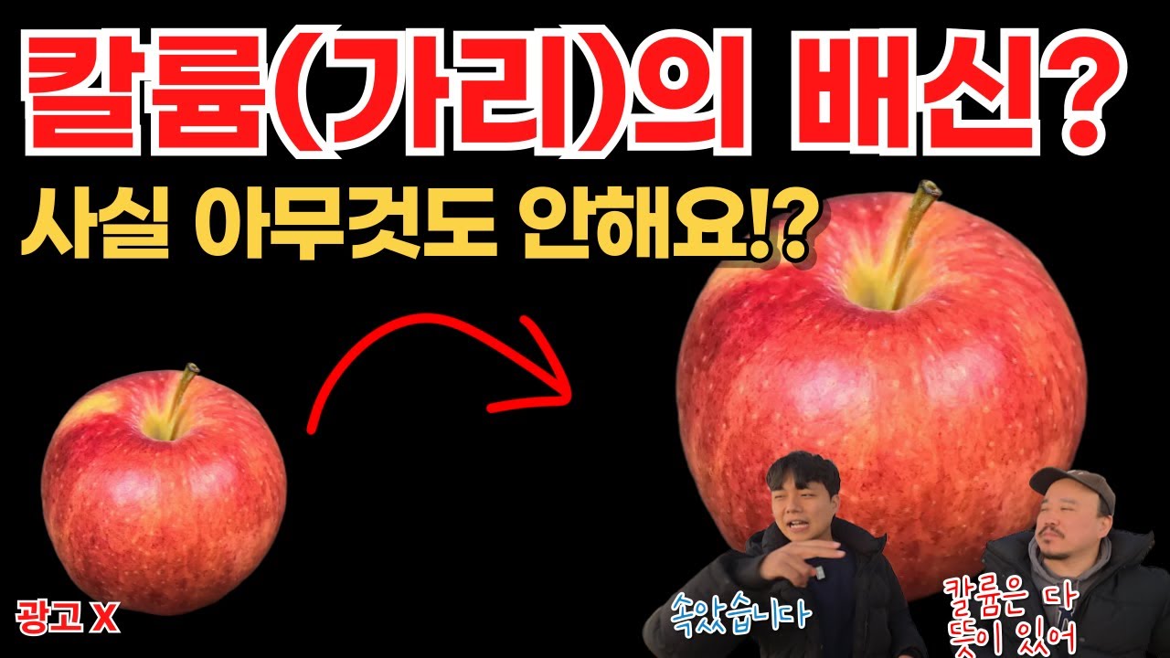 칼륨(가리)비료의 배신? 사실 식물에서 아무것도 안 만듭니다 | 비료 전문가가 알려주는 칼륨 비료 1편