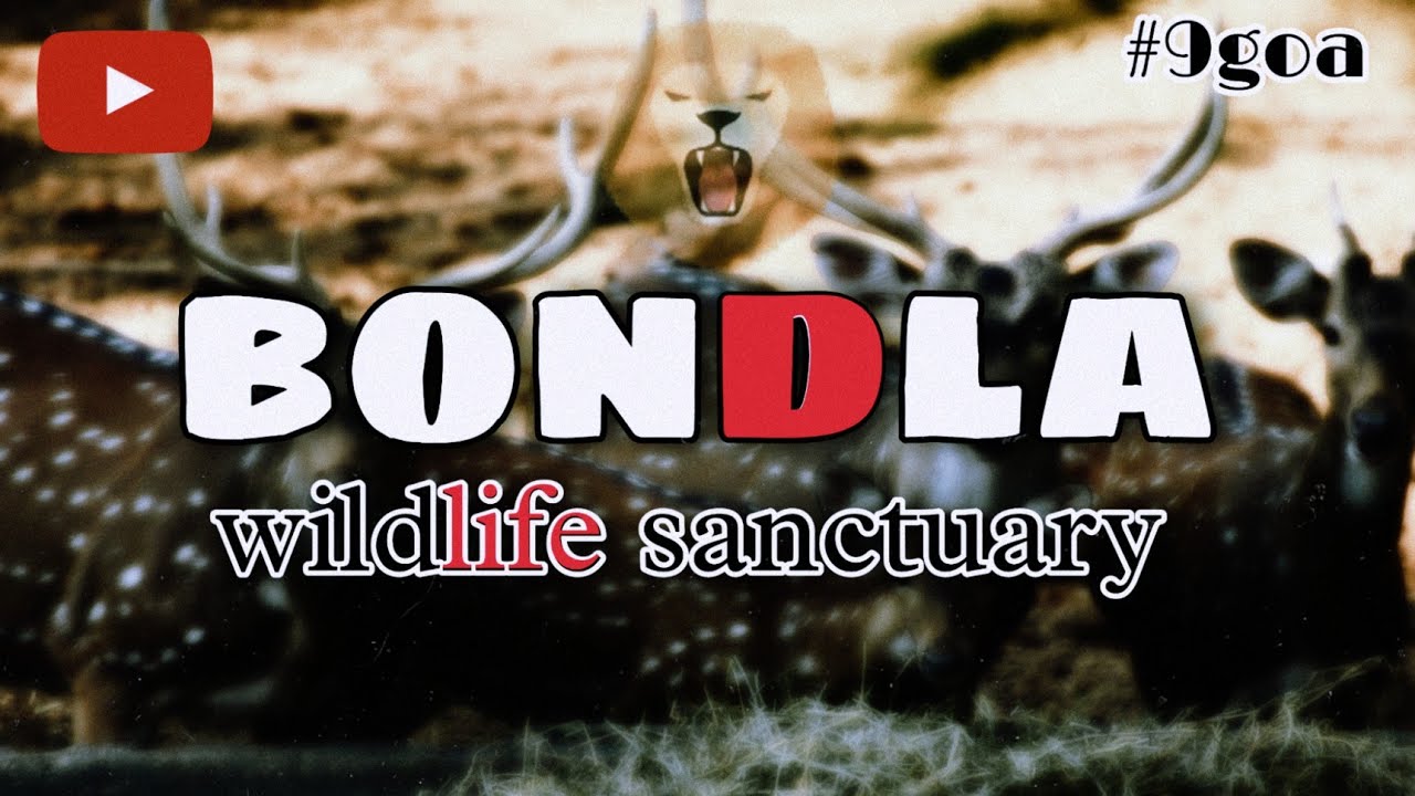 WILDLIFE SECURITY | Bondla | #goa |