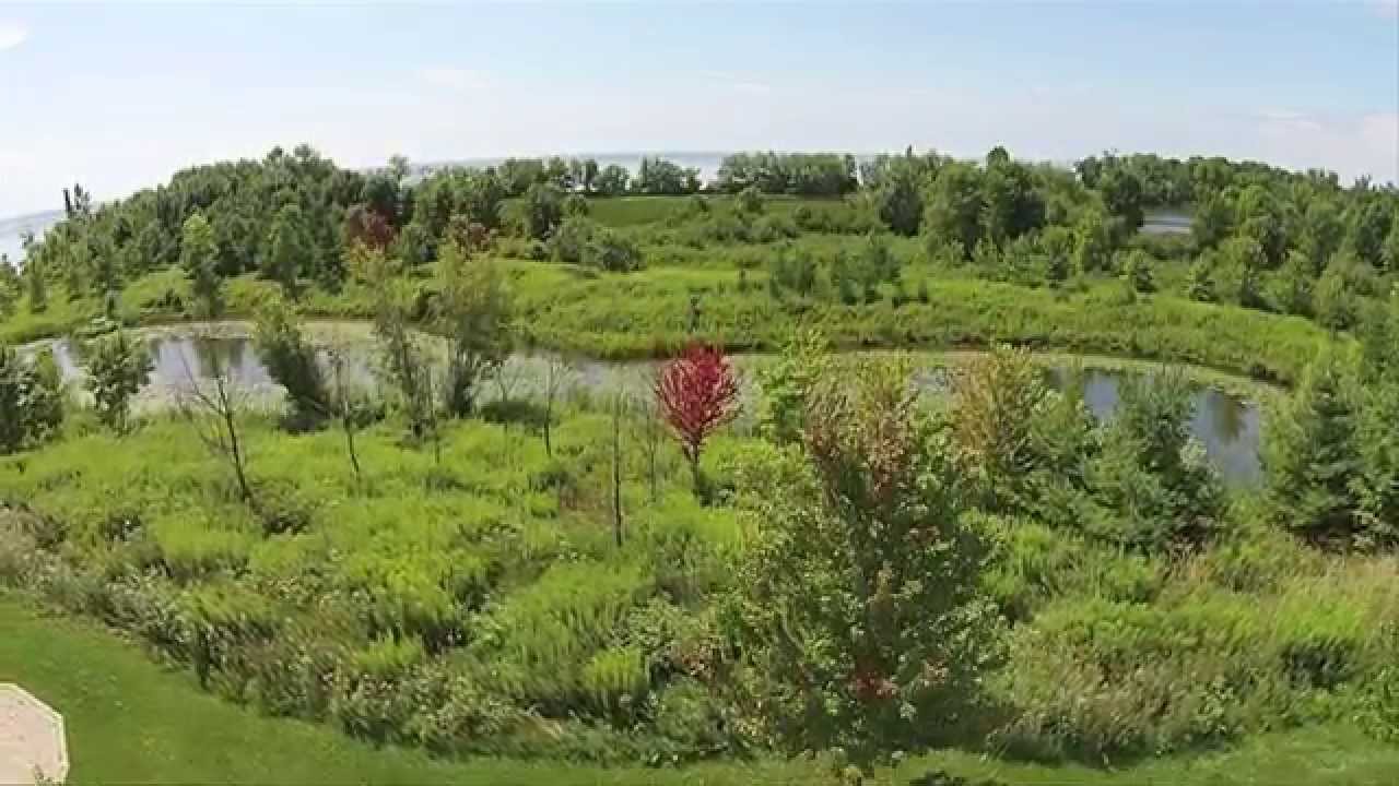 Ajax Promo for Sonia Sampson
