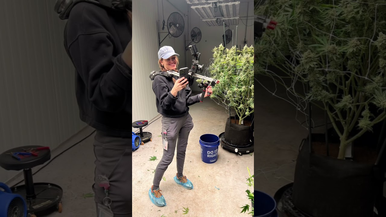 Behind The Scenes | Making Roots & Reefer | Arkansas Cannabis Documentary Debuting 10.23.25