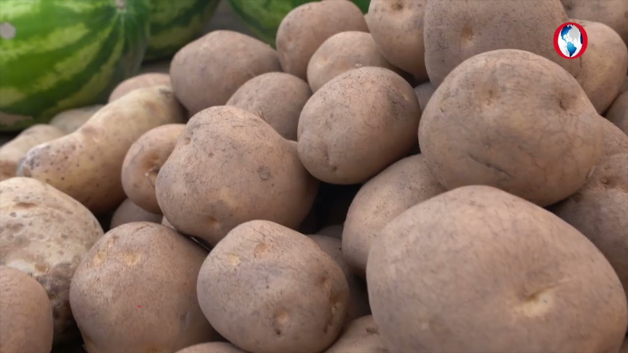 Market Bag 5-й сезон, 13-й выпуск: помидоры уже по 500, цены на продукты продолжают расти