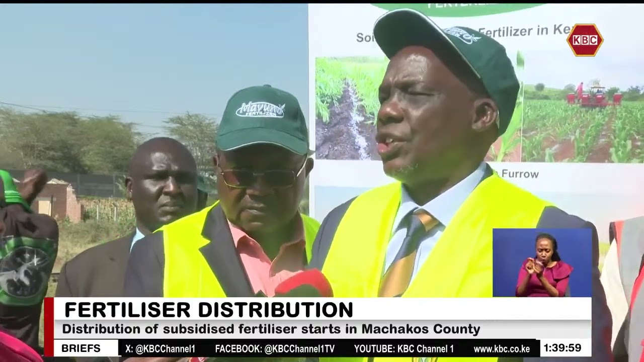 Govt to release 8 million bags of subsidised fertiliser