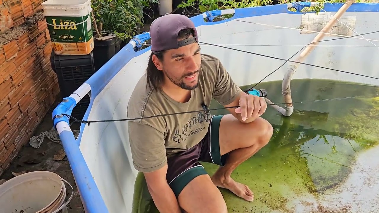 Quer criar peixe em piscina ? 😉 muitas dicas de cultivo nesse vídeo 😁🐟🎣🌱🙌🏽