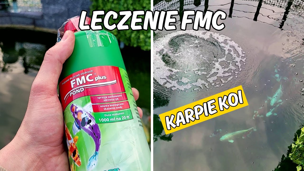 Leczenie ryb w oczku wodnym na pasożyty | FMC | Koi Treatment