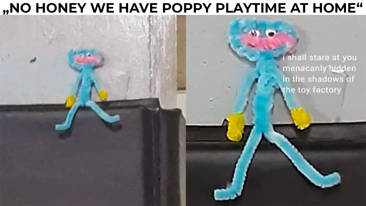 DAILY DOSE OF MEMES 531