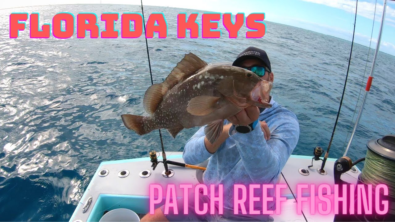 Islamorada PATCH REEF Fishing | Latitude Tournament Boats | Mangrove Snapper | Florida Keys