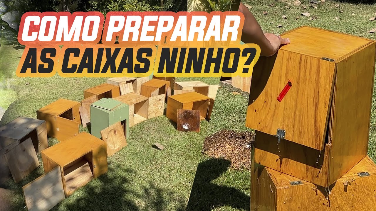 PREPARANDO AS CAIXAS NINHO PARA A REPRODU&Ccedil;&Atilde;O 2023