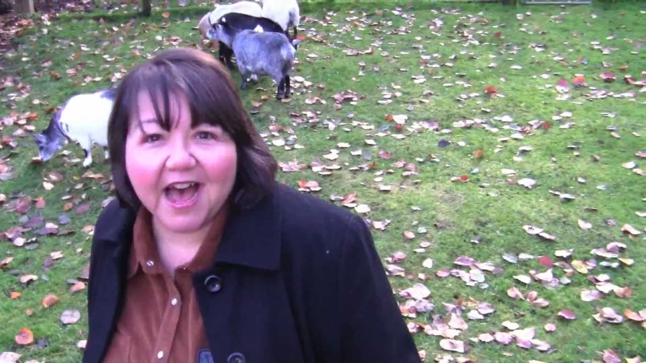 Norine Braun Sprack Chica Boogie Official Music Video