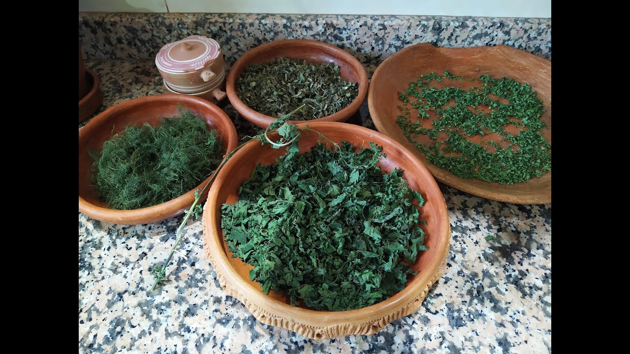 بيت الخزين≠ الطريقة الصحيحة لتجفيف النباتات  ≠تحضيرات رمضان الطبيعية≠ Healthy spring herbs storage
