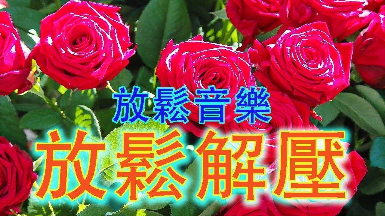 太好听了 👍👍 精選懷念老歌輕音樂 百听不厌 (環繞立體音效) | 電子琴经典老歌曲必聽 - 特殊音樂演奏曲 | 老歌会勾起往日的回忆 Relaxing Chinese Music