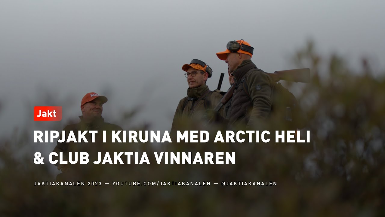 Ripjakt i Kiruna med Arctic Heli & Club Jaktia vinnaren