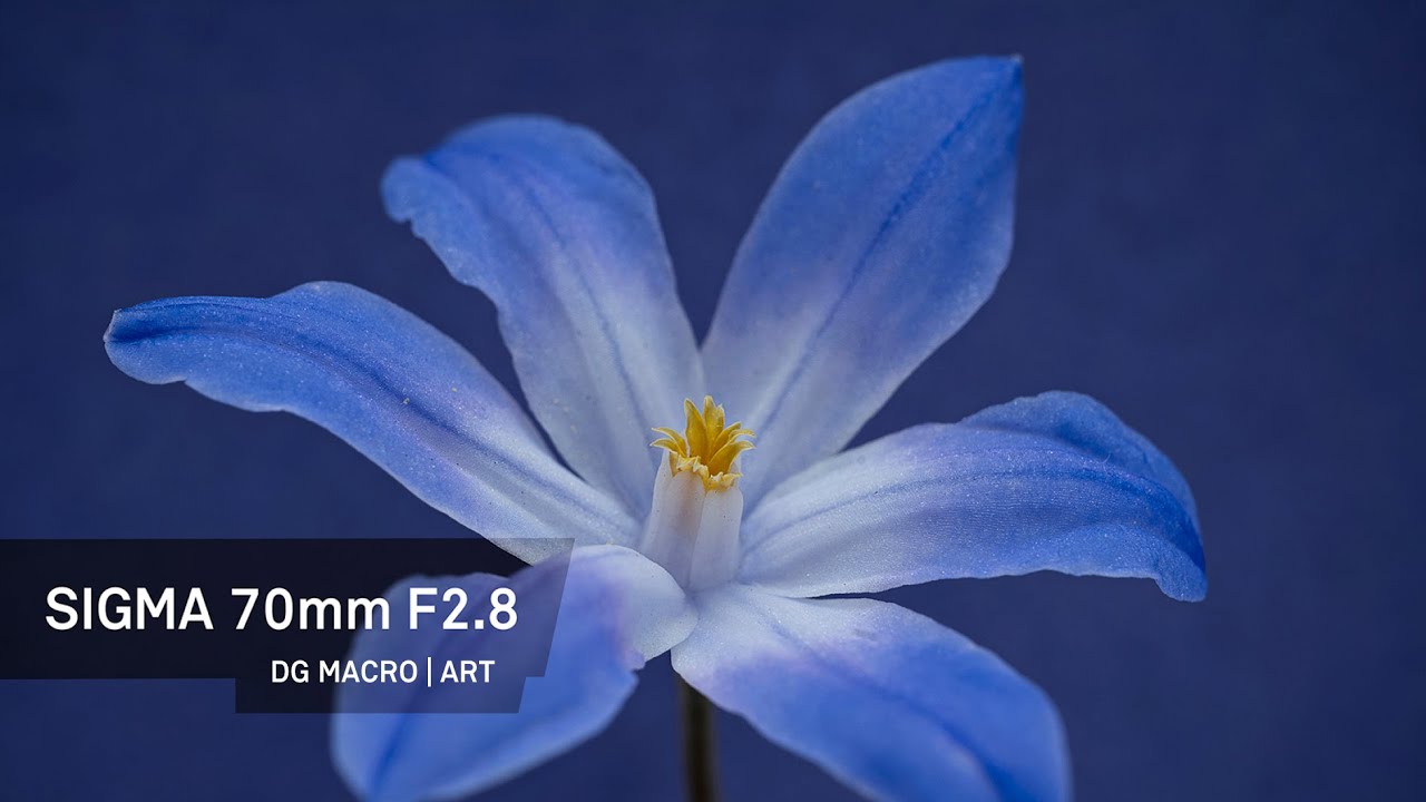 Sigma 70mm f2.8 macro lens demo and promotion