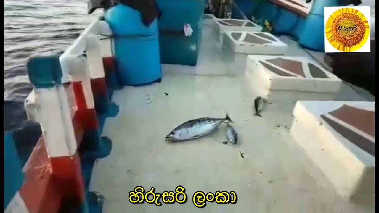 Fishing kudawella (KUMARI BOAT)