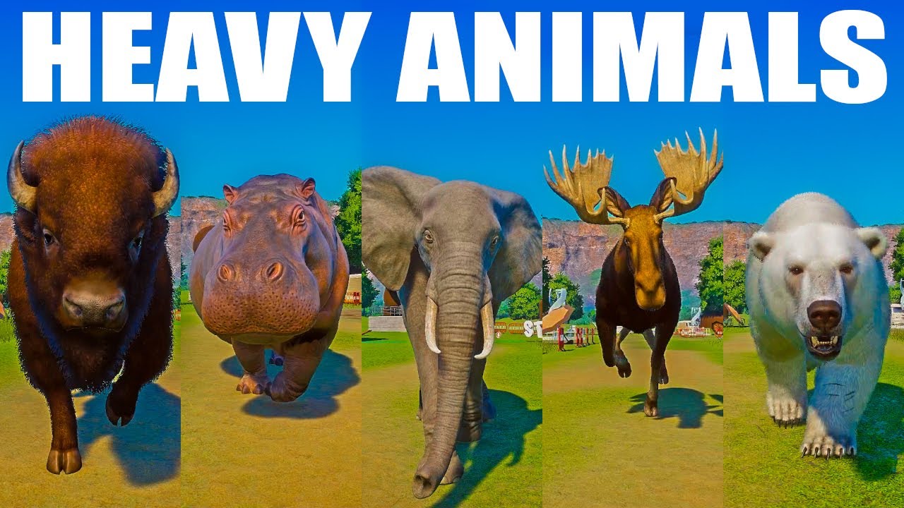 Heavy Animals Speed Races in Planet Zoo included Bear, Moose, Bison, Elephant