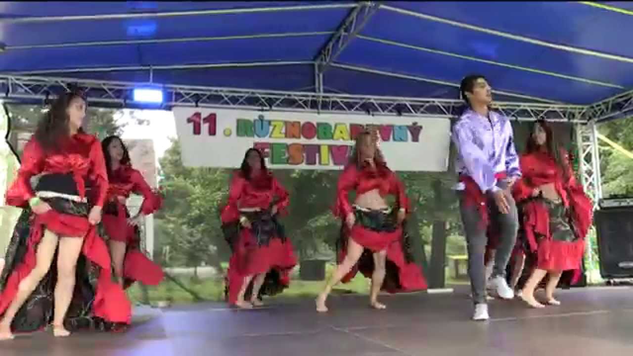 11.různobarevný festival Trmice - Lipakere Čhaja  Česká Lípa