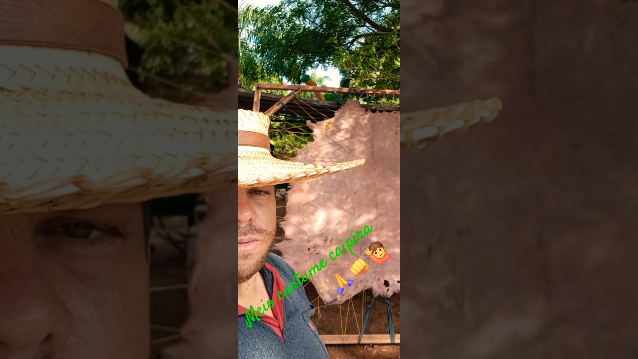 Meio curtume caipira , de um jeito bem simples #viralchorts#pi&atilde;o#dicasdocampo #agroemfocotvdigital