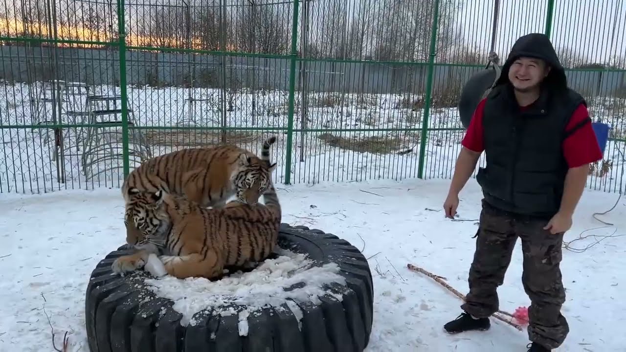 Инфинити и Тесла ! 3 Года !