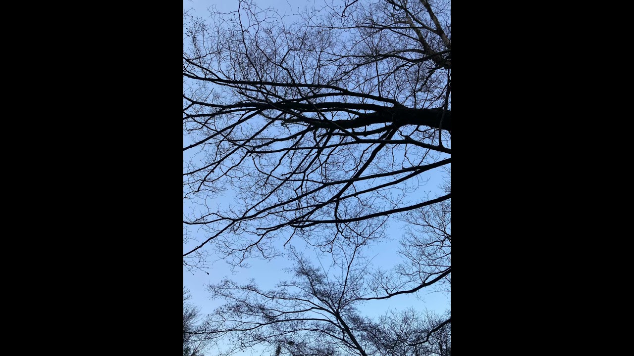 【48才が歌う】ピアノ弾き語り練習風景　「ああ」✴︎オリジナル曲