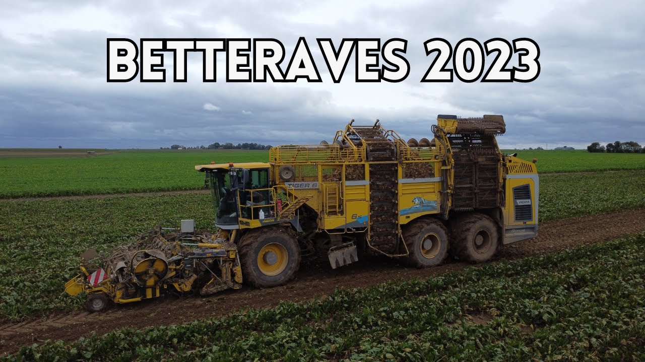 Arrachage de Betteraves 2023 - ROPA TIGER 6S | 2 John Deere😍