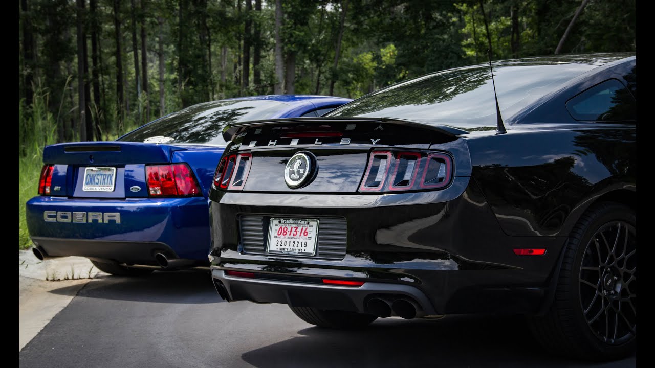 2003 SVT Cobra and 2014 Shelby GT500 Cinematic Shots, Revs, Supercharger Whine, and Fly bys