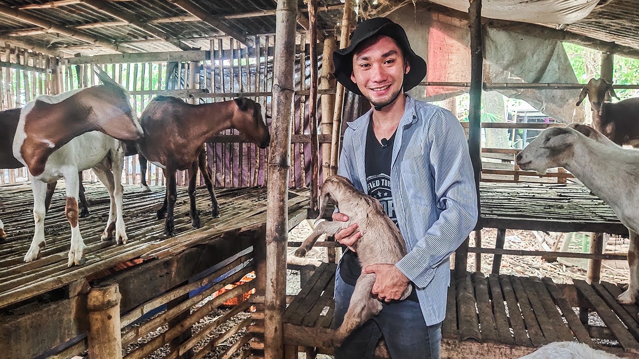 GOAT FARMING | 21 YEARS OLD STUDENT, NAPARAMI ANG ALAGANG KAMBING MULA SA KANYANG MALIIT NA PUHUNAN
