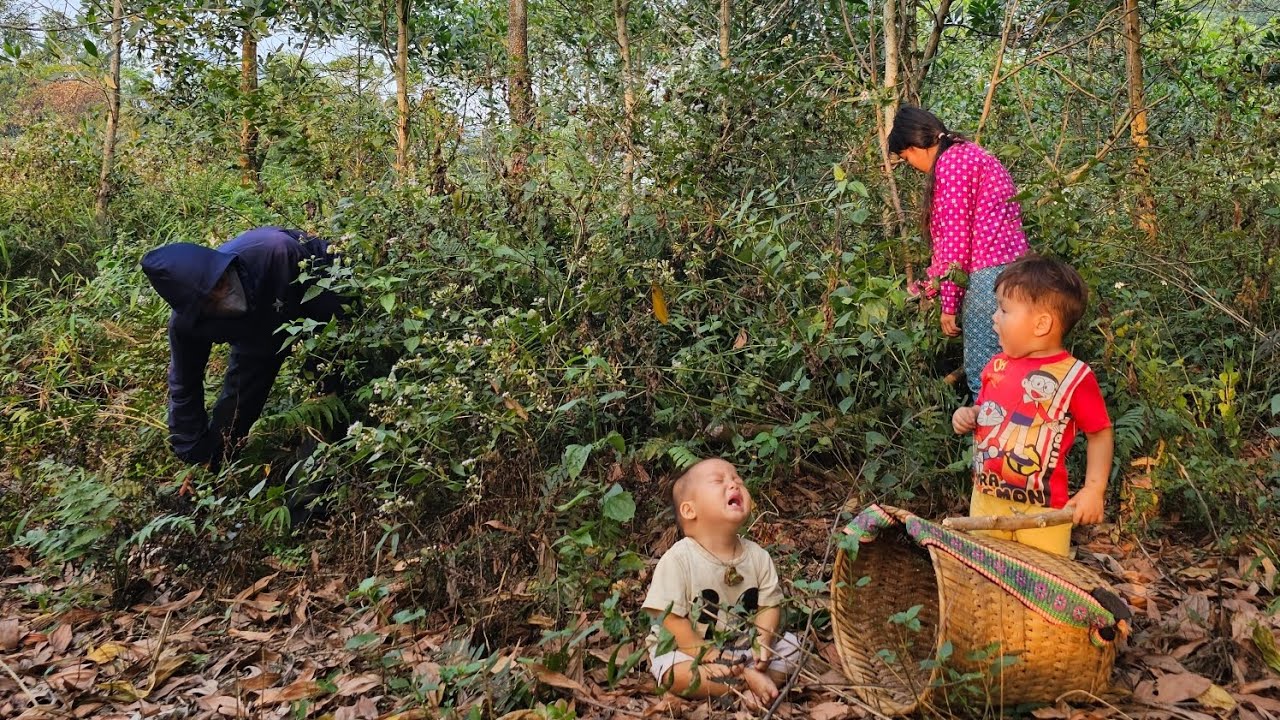 A single mother went to collect firewood and was stalked by bad guys in the forest  - lý thi My