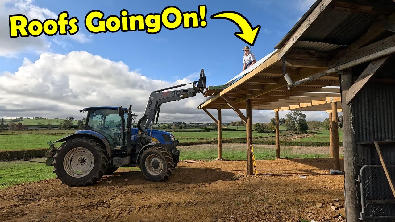 New Calf Shed Is Taking Shape