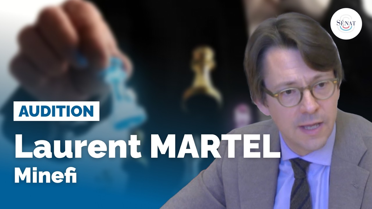 Audition de Laurent Martel (Minefi)