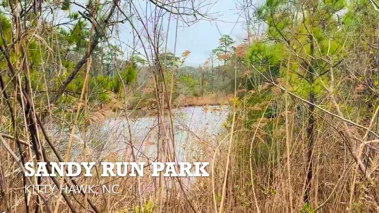 Whistling Winds Through the Outer Banks Marshes
