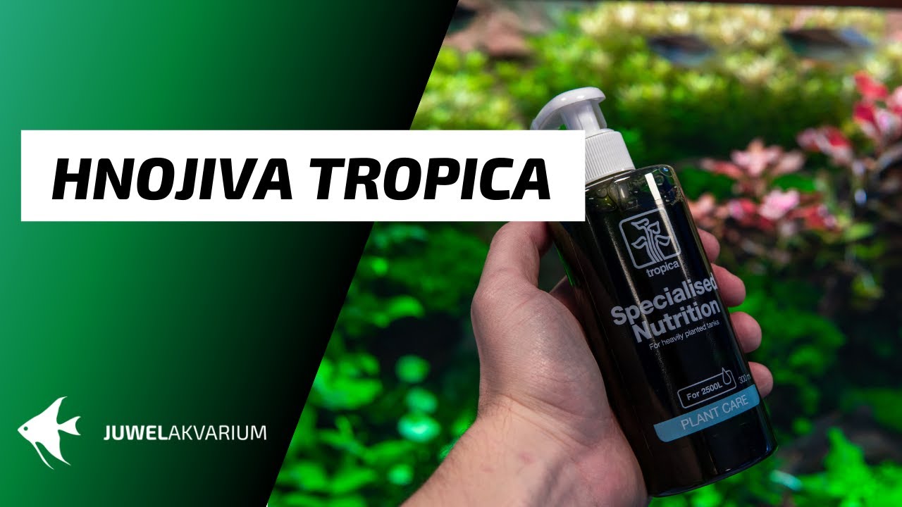 Jak používat hnojiva Tropica Premium a Specilised Nutrition