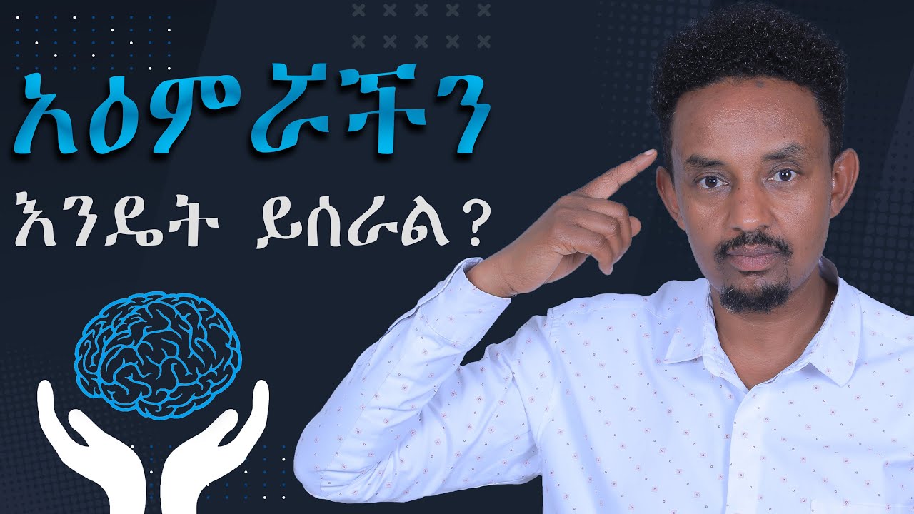 አዕምሯችን እንዴት ይሰራል?