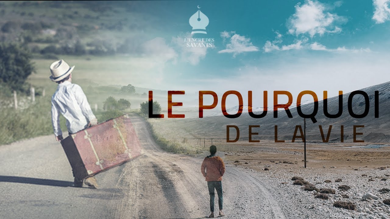 Le Pourquoi De La Vie
