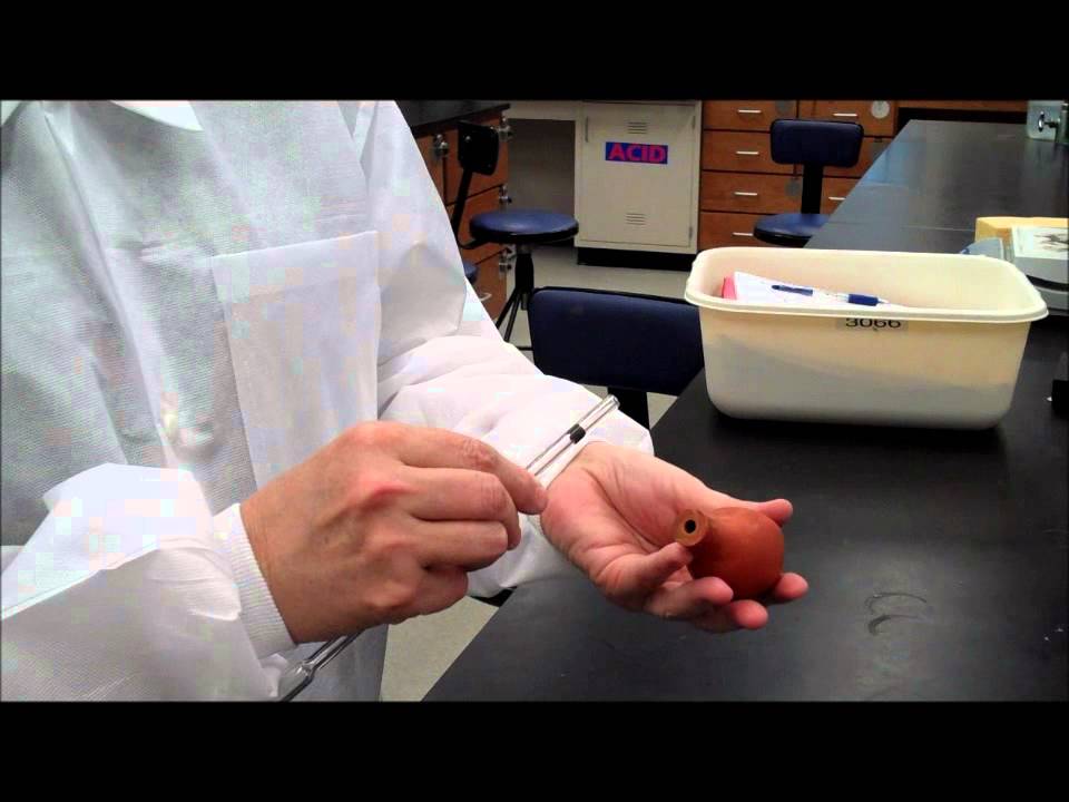 1212 exp #4 video #2   Pipet bulb complete