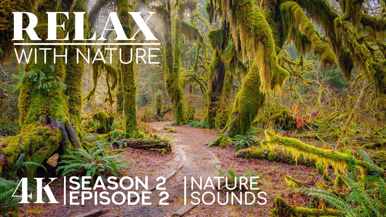 World’s Most Beautiful Landscapes in 4K + Pure Nature Sounds | Relax with Nature - S2; Ep 2