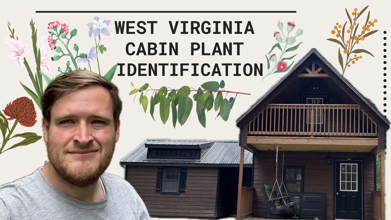 WV Cabin Plant Identification