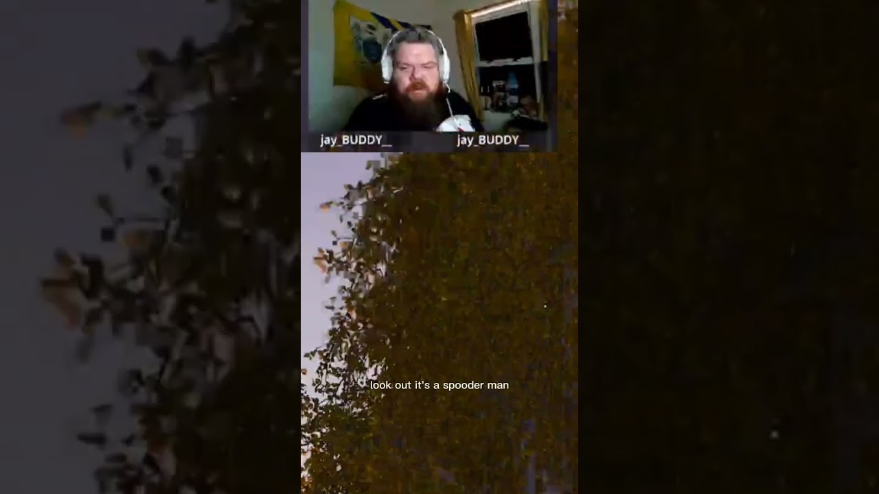 what even is this server lads 🤣🤣 #dayz #ireland #dayzgameplay #irishstreamer #gaming #irish #ireland