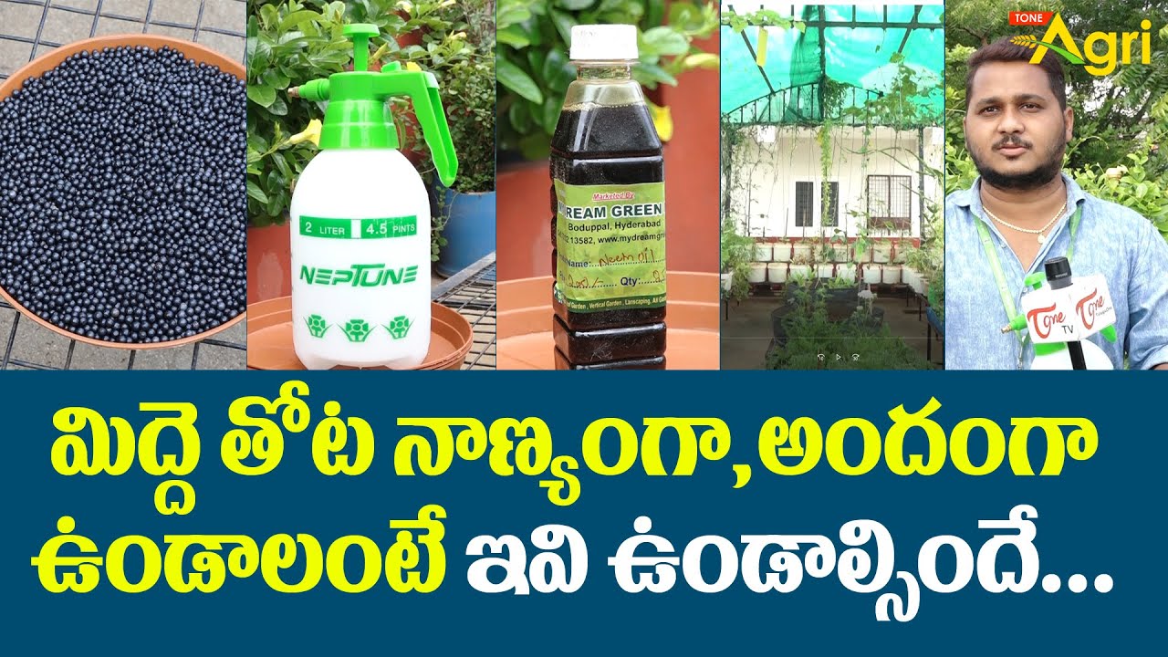 Midde Thota | Terrace Gardening | మిద్దె తోట నాణ్యంగా, అందంగా ఉండాలంటే ఇవి ఉండాల్సిందే..!  Tone Agri