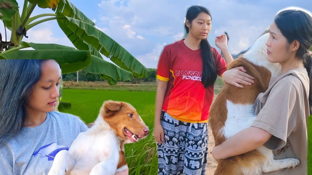  อยุ่โคกหนองนา ตามหาหมาหมูฝอย หมูฝอยหาย!!10/03/69