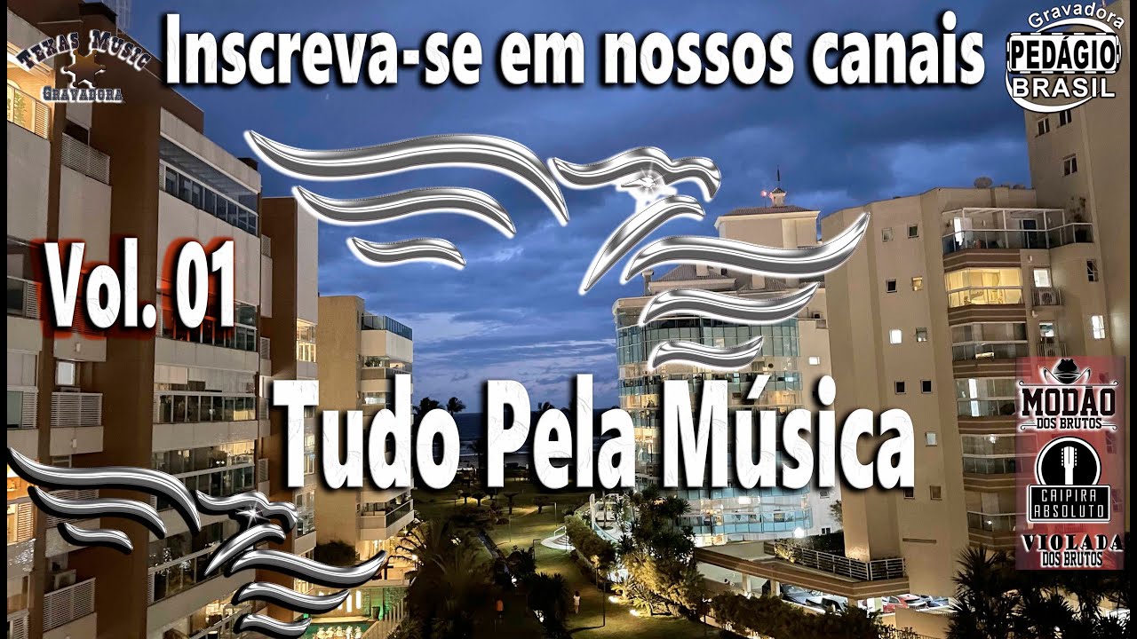 Tudo Pela Música – Vol. 01