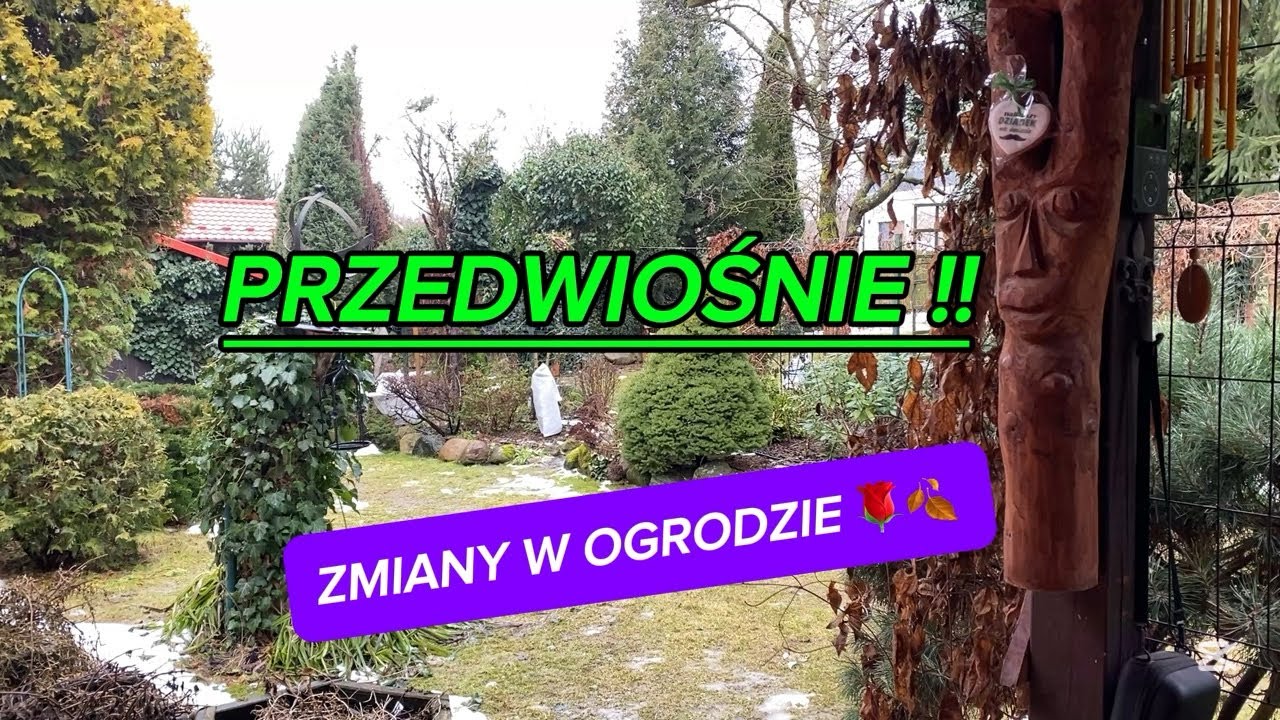 IDZIE WIOSNA!! Pierwsze listki i  kiełki  kwiatów 🌷w ogrodzie. 
