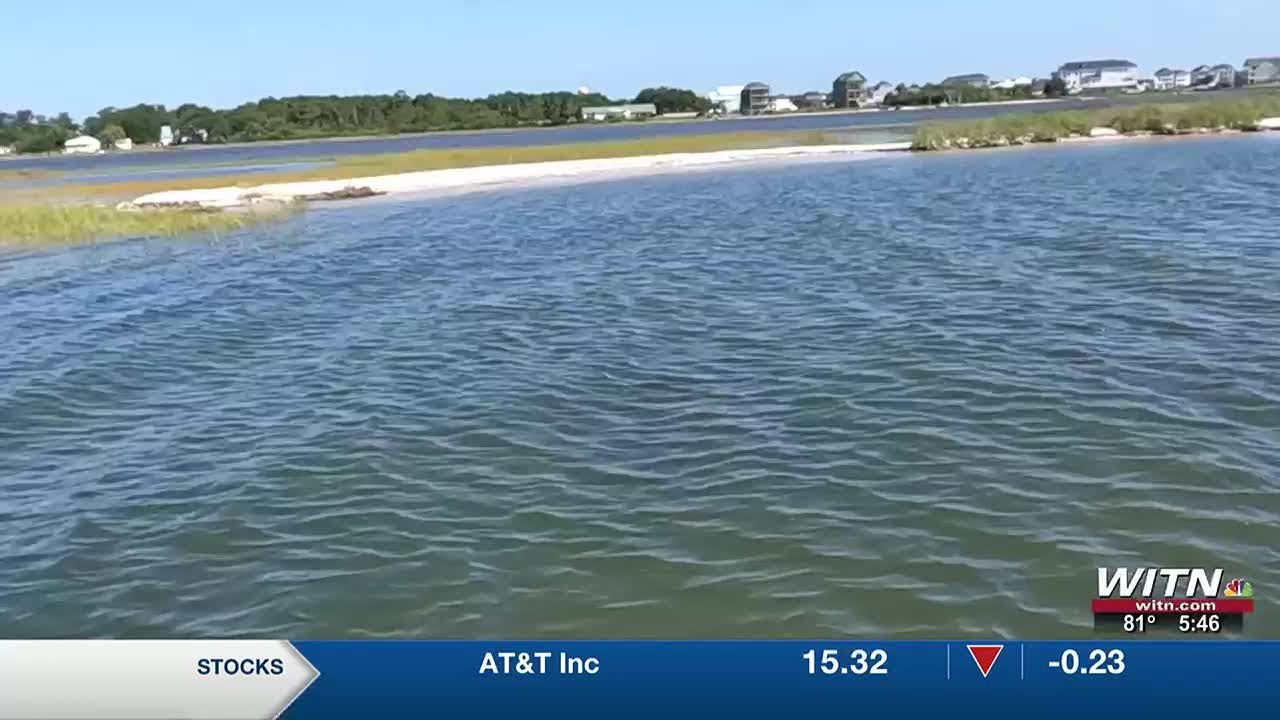 Saving the Dredge Spoil Islands