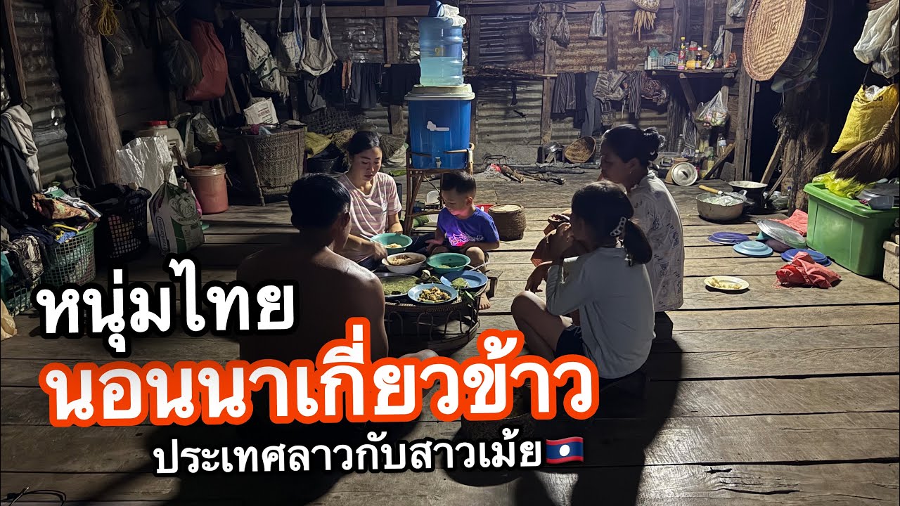 นอนนากับสาวลาวเกี่ยวข้าวช่วยพ่อตาแม่ยายปี2025 l เขยลาว 🇹🇭💞🇱🇦
