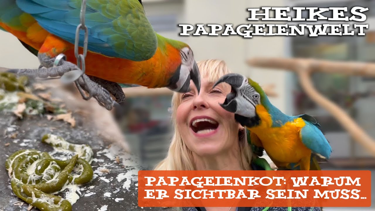 Warum Papageienkot sichtbar sein muss