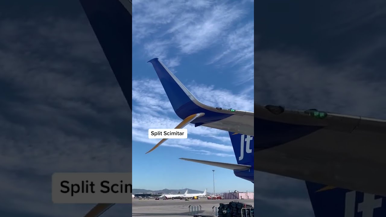 Split Scimitar Winglet