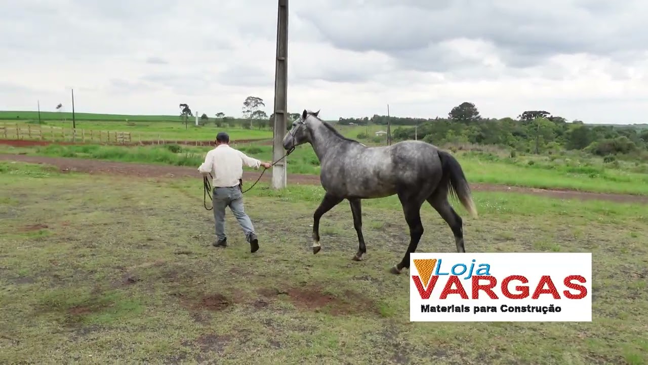 Carreira Candói PR 15 e 16 de novembro de 2025