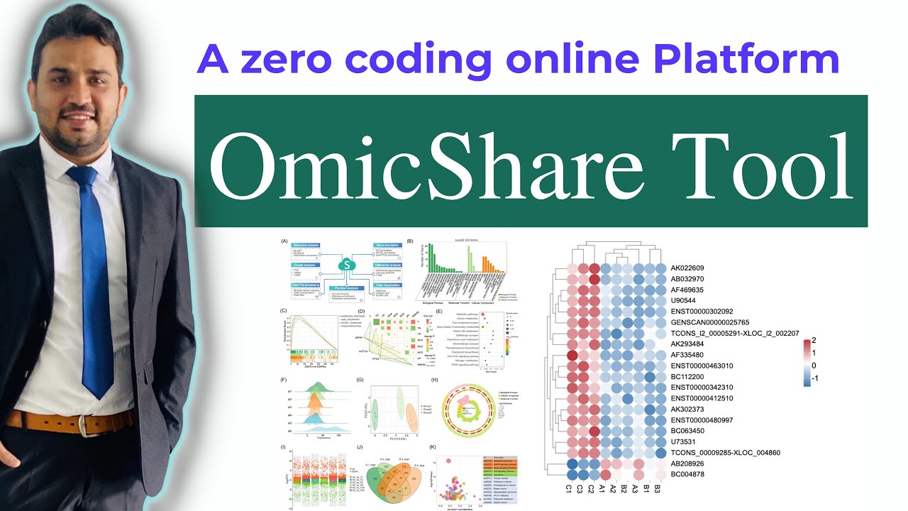 Инструменты OmicShare | Интерактивная онлайн-платформа для анализа и визуализации данных, не треб...