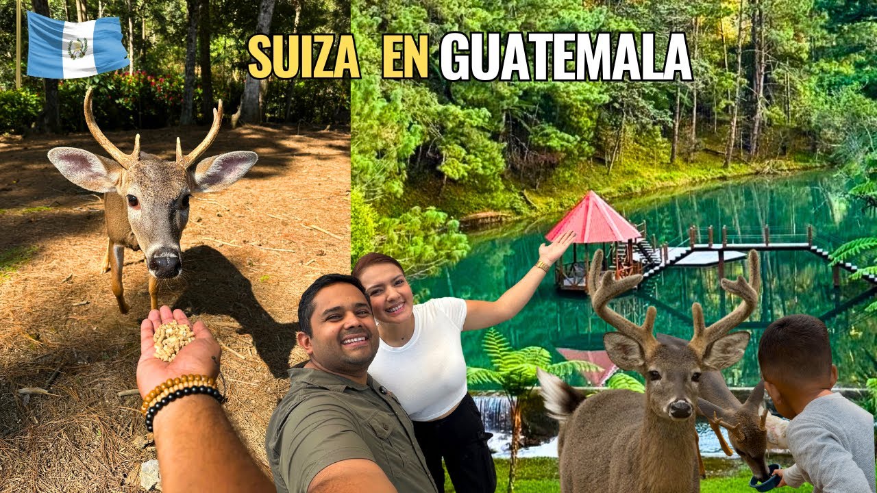 😔Ya NADIE visita la increíble FINCA CHIJUL y su reserva de VENADOS cola blanca en coban Guatemala 